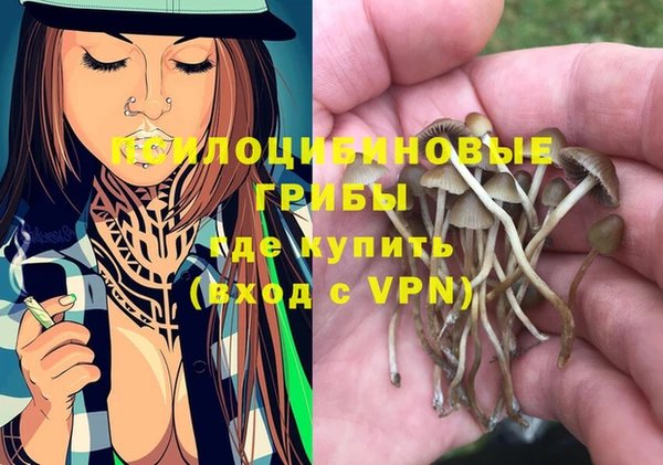 apvp Волосово