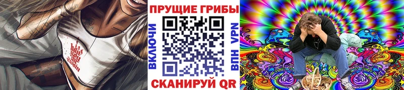 Псилоцибиновые грибы Magic Shrooms  Купить  Моршанск 